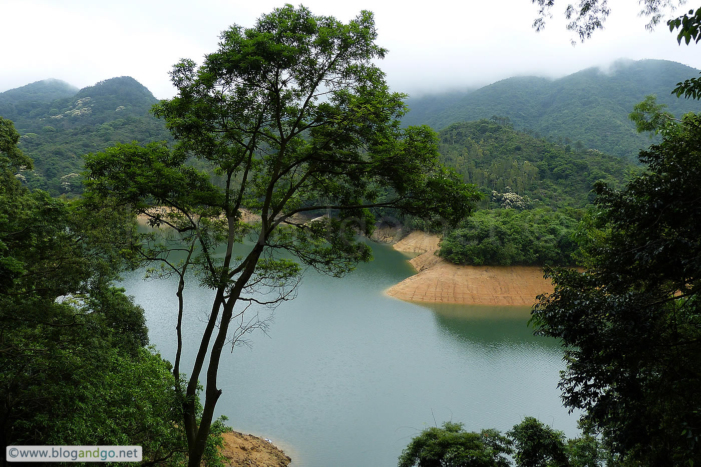 Shing Mun Reservoir - Peaceful Nature Walk